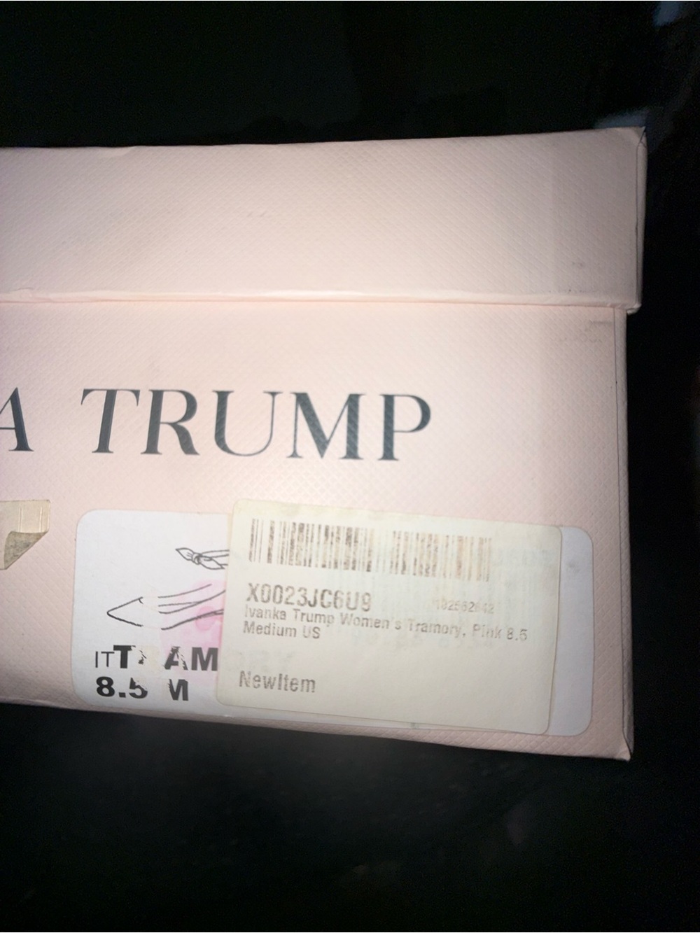 Ivanka Trump Blush Pink Branded Shoe Box